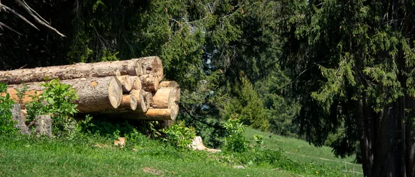 Image in Europe Trip