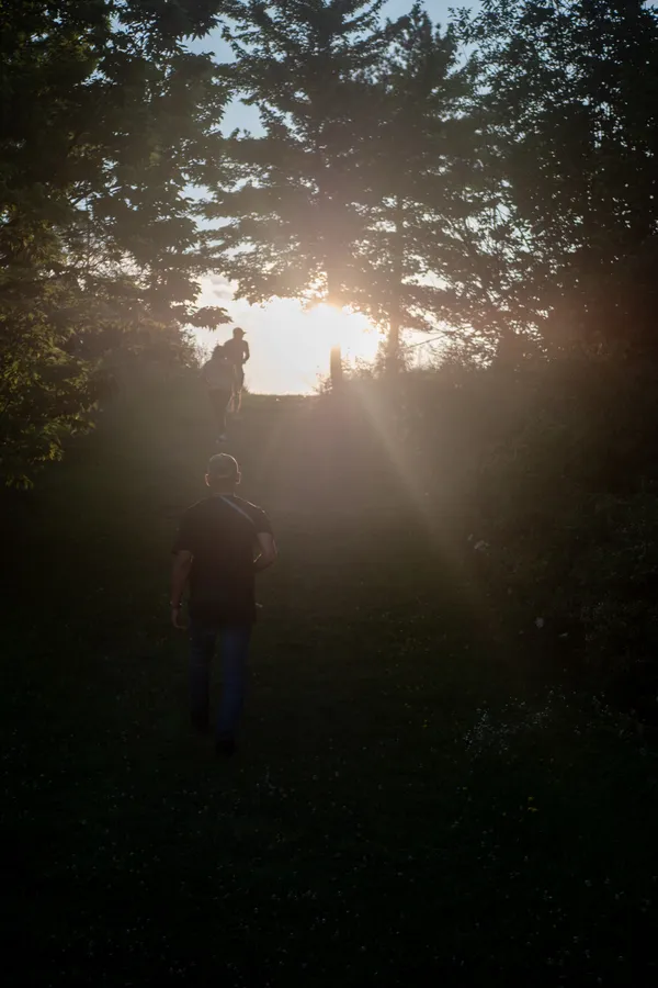 Image in Malden Park