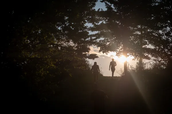 Image in Malden Park
