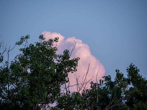 images/P1522788.jpg